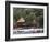 Kata Beach, Phuket, Thailand, Southeast Asia-Robert Harding-Framed Photographic Print