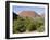 Kata Tjuta, the Olgas, Northern Territory, Australia-Ken Gillham-Framed Photographic Print