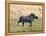 Katavi National Park, A Warthog Runs with its Tail in the Air, Tanzania-Nigel Pavitt-Framed Premier Image Canvas