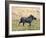 Katavi National Park, A Warthog Runs with its Tail in the Air, Tanzania-Nigel Pavitt-Framed Photographic Print