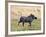 Katavi National Park, A Warthog Runs with its Tail in the Air, Tanzania-Nigel Pavitt-Framed Photographic Print