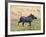 Katavi National Park, A Warthog Runs with its Tail in the Air, Tanzania-Nigel Pavitt-Framed Photographic Print