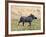 Katavi National Park, A Warthog Runs with its Tail in the Air, Tanzania-Nigel Pavitt-Framed Photographic Print