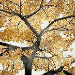 Ginko in Gold II-Kate Bennett-Art Print