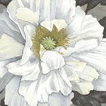 Pure Poppy I-Kate Mawdsley-Giclee Print