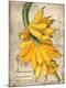 Premium Giclee Print