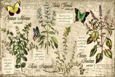Herbs-Kate Ward Thacker-Mounted Giclee Print
