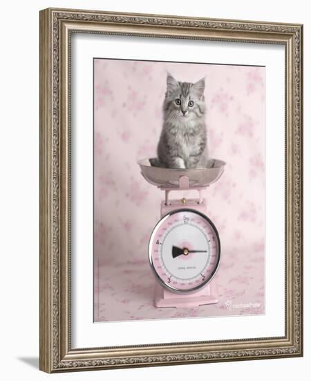 Kate-Rachael Hale-Framed Art Print