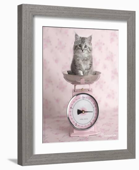 Kate-Rachael Hale-Framed Art Print