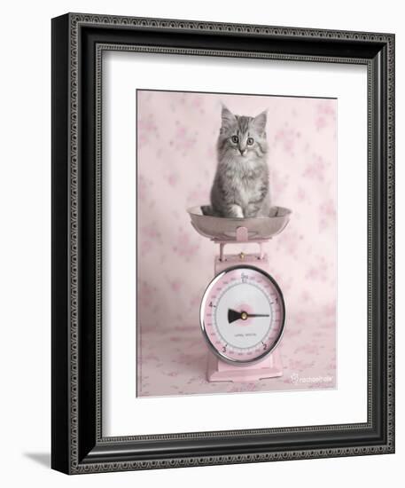 Kate-Rachael Hale-Framed Photographic Print