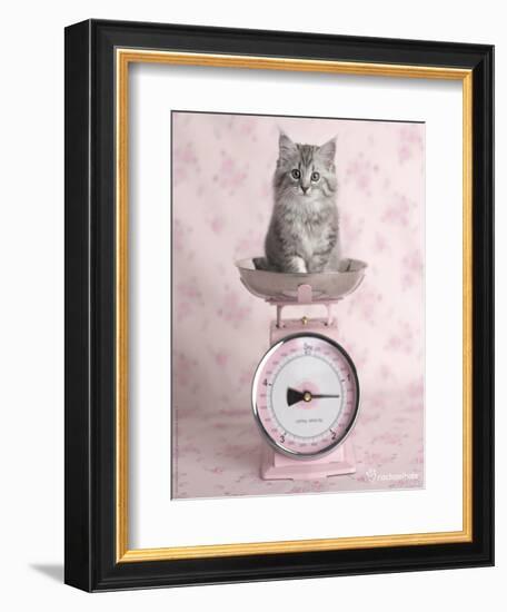 Kate-Rachael Hale-Framed Photographic Print