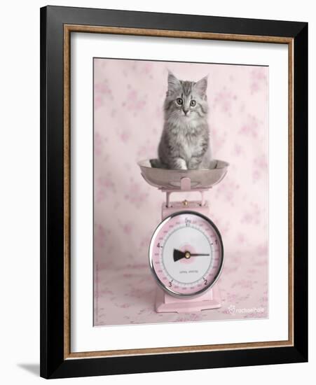 Kate-Rachael Hale-Framed Photographic Print