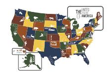 USA Map (bright)-Katelyn Lynch-Stretched Canvas