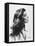 Katharine Hepburn-null-Framed Premier Image Canvas