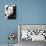 Katharine Hepburn-null-Photo displayed on a wall