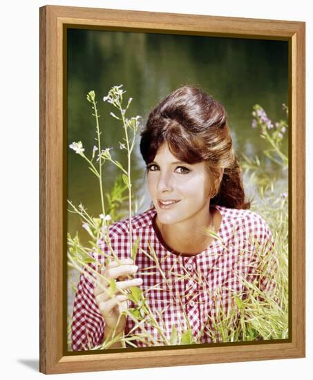 Katharine Ross-null-Framed Stretched Canvas