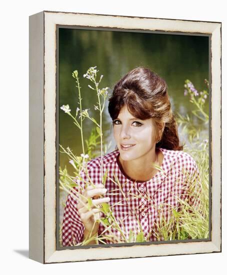 Katharine Ross-null-Framed Stretched Canvas