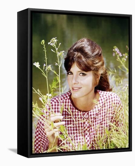 Katharine Ross-null-Framed Stretched Canvas