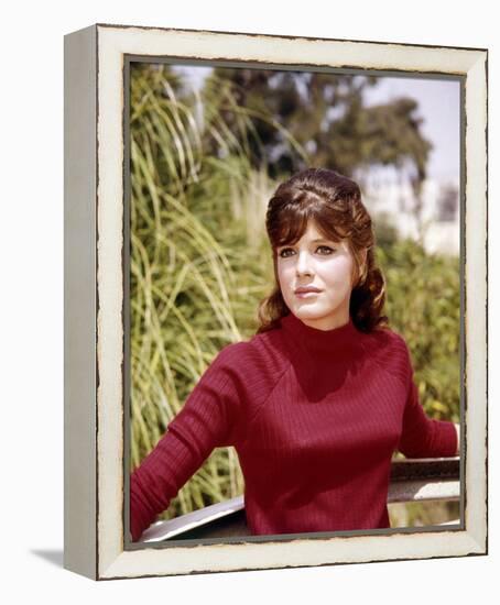 Katharine Ross-null-Framed Stretched Canvas