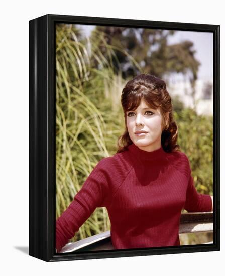 Katharine Ross-null-Framed Stretched Canvas