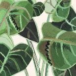 Jungle Close Up II-Katherine & Elizabeth Pope-Framed Art Print