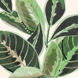 Jungle Close Up I-Katherine & Elizabeth Pope-Art Print