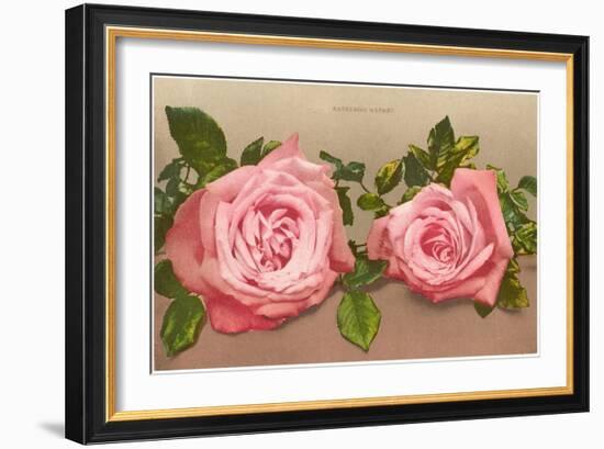 Katherine Mermet Pink Roses-null-Framed Art Print