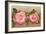 Katherine Mermet Pink Roses-null-Framed Art Print