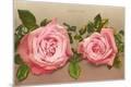 Premium Giclee Print