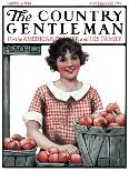 "Picking Pints of Cherries," Country Gentleman Cover, May 19, 1923-Katherine R. Wireman-Framed Giclee Print