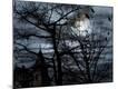 Photographic Print