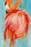 Flamingo Pose-Kathleen Broaderick-Art Print