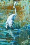 Boca Ibis-Kathleen Broaderick-Framed Stretched Canvas
