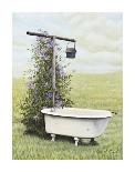 Bird Bath-Kathleen Green-Art Print