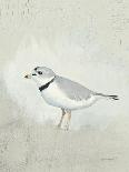 Sea Birds IV-Kathrine Lovell-Art Print