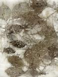 Dogwood Leaves III-Kathryn Phillips-Framed Art Print
