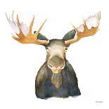 Moose-Kathy Ferguson-Art Print