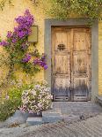 Colorful Door-Kathy Mahan-Photographic Print