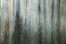 Forest II-Kathy Mahan-Photographic Print
