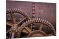 Premium Photographic Print