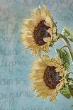 Sunflowers II-Kathy Mahan-Photographic Print