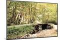 Premium Photographic Print