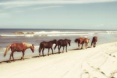 Horses on the Beach-Kathy Mansfield-Photographic Print