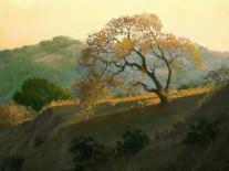 Summer in the Hills-Kathy O’Leary-Framed Stretched Canvas