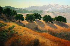 Summer in the Hills-Kathy O’Leary-Framed Stretched Canvas