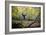 Katie Paulson Practices Yoga Among The Cottonwood Trees In An Autumn Morning In Indian Creek, Utah-Dan Holz-Framed Photographic Print