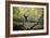 Katie Paulson Practices Yoga Among The Cottonwood Trees In An Autumn Morning In Indian Creek, Utah-Dan Holz-Framed Photographic Print