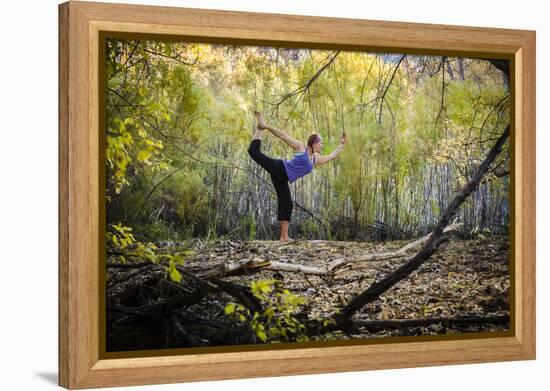 Katie Paulson Practices Yoga Among The Cottonwood Trees In An Autumn Morning In Indian Creek, Utah-Dan Holz-Framed Premier Image Canvas