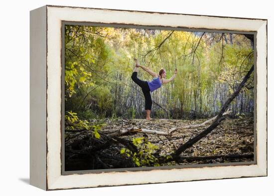 Katie Paulson Practices Yoga Among The Cottonwood Trees In An Autumn Morning In Indian Creek, Utah-Dan Holz-Framed Premier Image Canvas