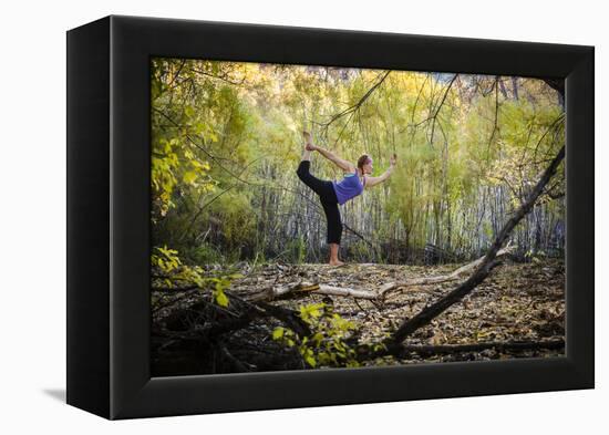 Katie Paulson Practices Yoga Among The Cottonwood Trees In An Autumn Morning In Indian Creek, Utah-Dan Holz-Framed Premier Image Canvas